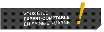 Vous êtes expert-comptable en Seine-et-Marne